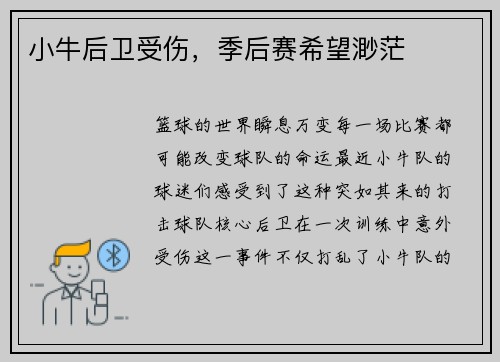 小牛后卫受伤，季后赛希望渺茫