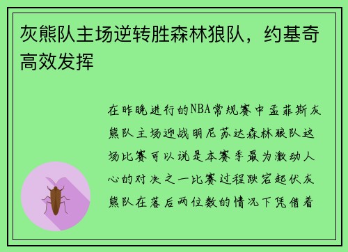 灰熊队主场逆转胜森林狼队，约基奇高效发挥
